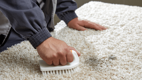 Professional Rug Cleaning Northcote