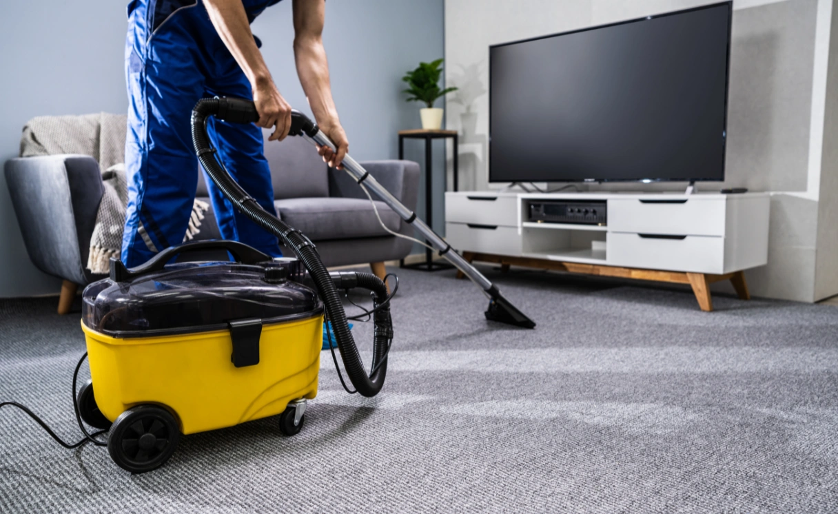 Extract Rug Cleaning Northcote Contact Office